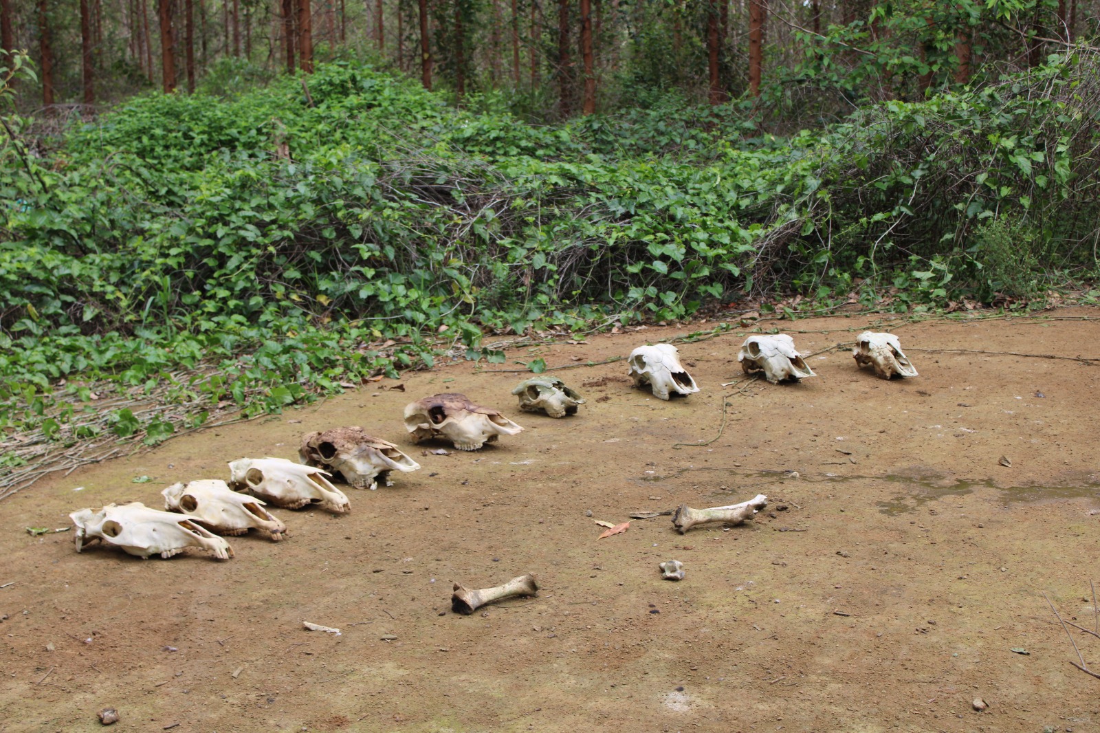 WhatsApp Image 2025-10-24 at 12.49.57 (1)